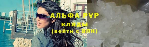 кокс Арсеньев