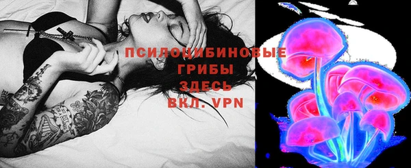 кокс Арсеньев