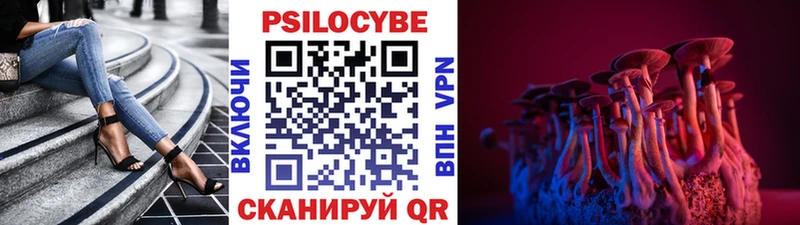 где найти   Уяр  Галлюциногенные грибы GOLDEN TEACHER 